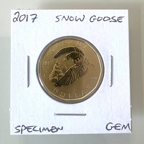 2016, 2017, 2018 and 2019 Canada Special Specimen $1 Loonies! - Picture 5 of 10